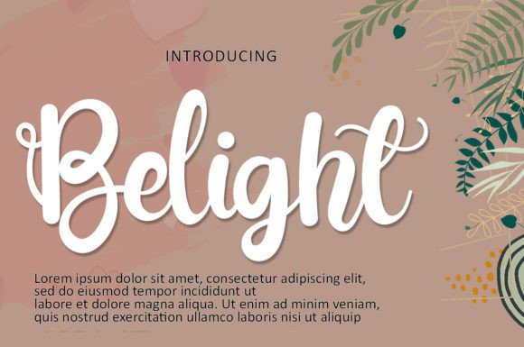 Belight: A Refined Script for Real Work