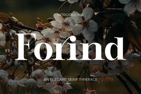 Forind: A Serif Typeface That Elevates Digital Branding