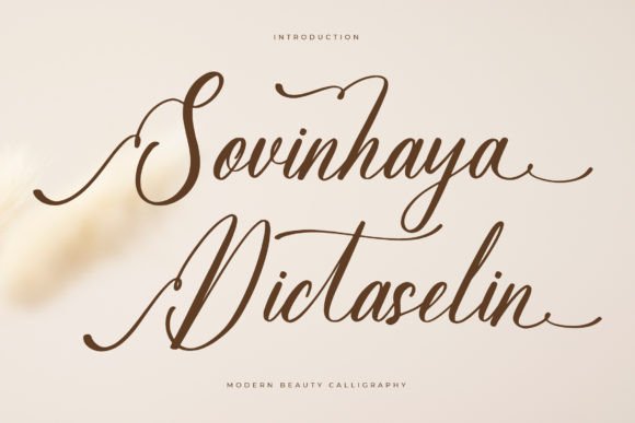 Sovinhaya Dictaselin: A Modern Script Font for Editorial Design